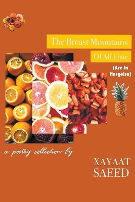 Book cover for The Breast Mountains Of All Time (Are In Hargeisa)