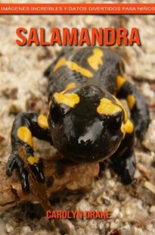 Cover of Salamandra