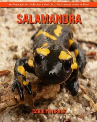 Book cover for Salamandra