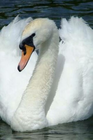 Cover of Beautiful Swan Floating on the Water, Birds of the World