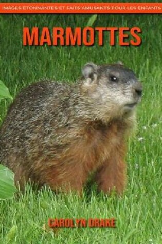 Cover of Marmottes