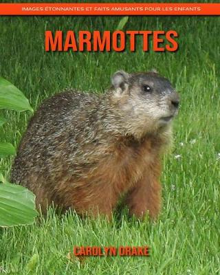 Book cover for Marmottes
