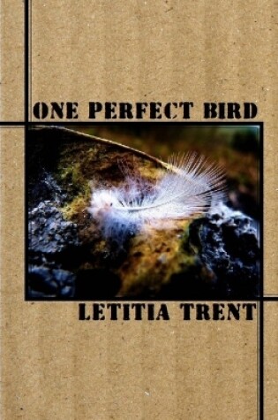 Cover of One Perfect Bird