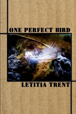 Book cover for One Perfect Bird