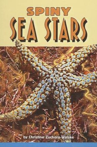 Cover of Spiny Sea Stars