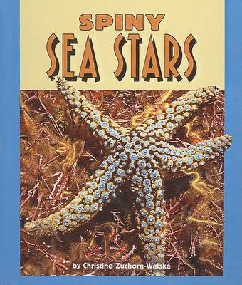 Cover of Spiny Sea Stars