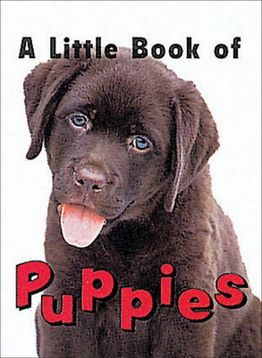 Cover of Little Book of Puppies