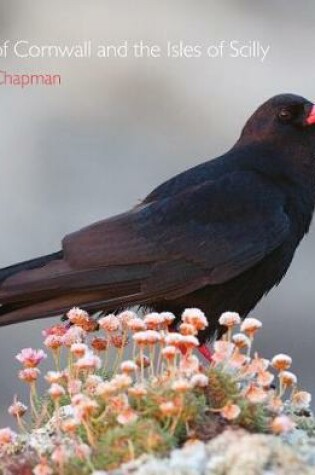 Cover of Birds of Cornwall and the Isles of Scilly