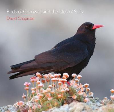 Cover of Birds of Cornwall and the Isles of Scilly