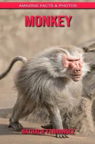 Cover of Monkey