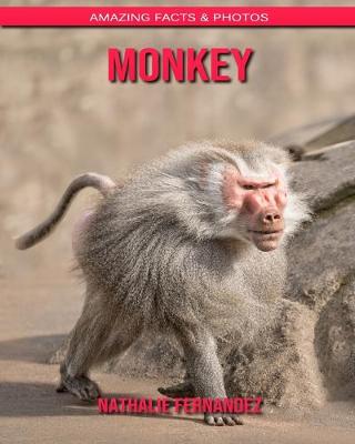 Book cover for Monkey