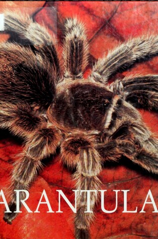 Cover of Tarantulas