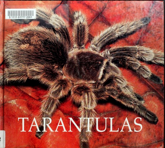 Cover of Tarantulas