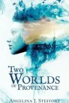 Book cover for Two Worlds of Provenance