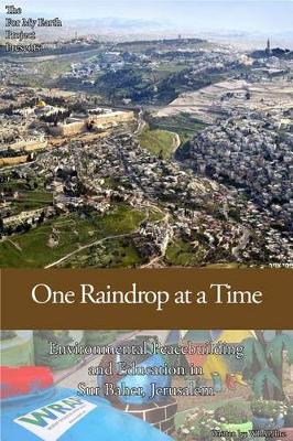 Cover of One Raindrop at a Time