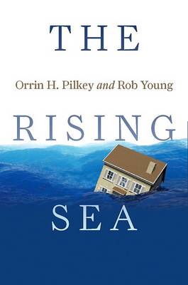 Book cover for The Rising Sea