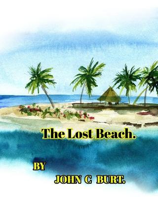 Book cover for The Lost Beach.