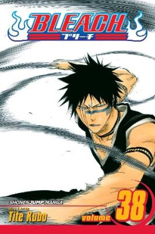 Cover of Bleach, Vol. 38