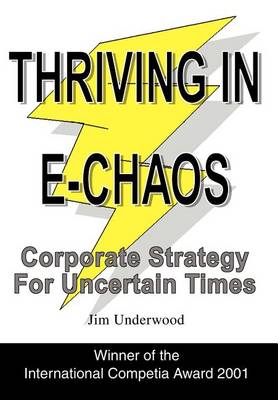 Book cover for Thriving in E-Chaos