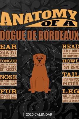 Book cover for Anatomy Of A Dogue de Bordeaux