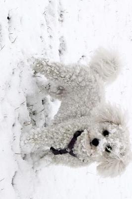 Book cover for Bichon Frise Dog with a Face Full of Snow Journal