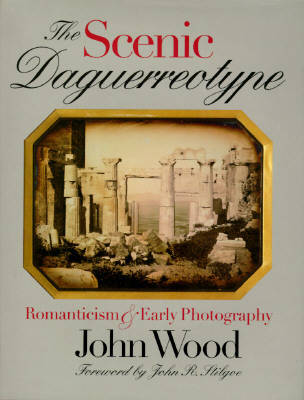 Book cover for The Scenic Daguerreotype