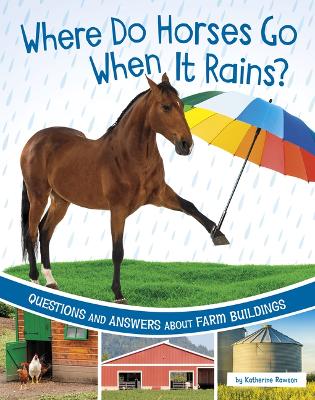 Book cover for Where Do Horses Go When It Rains?