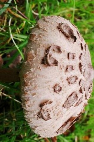 Cover of Parasol Mushroom Macrolepiota Procera Journal