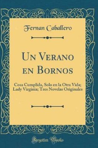 Cover of Un Verano En Bornos