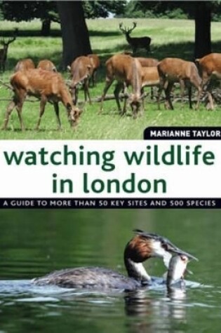 Cover of Watching Wildlife In London