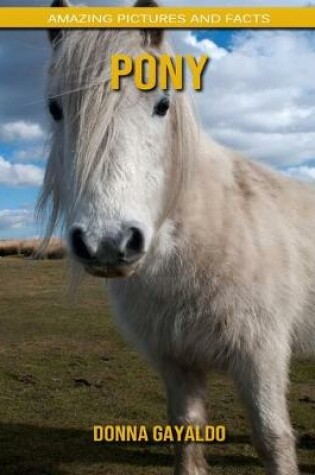 Cover of Pony