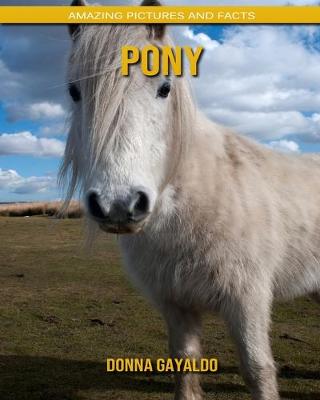 Book cover for Pony