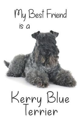 Book cover for My best Friend is a Kerry Blue Terrier (Squared Paper)