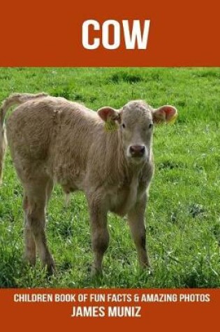 Cover of Cow