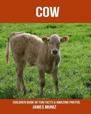 Book cover for Cow