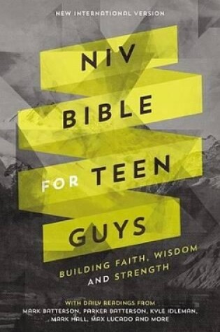 Cover of Niv, Bible for Teen Guys
