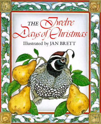 Book cover for The Twelve Days Of Christmas