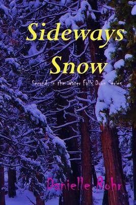 Book cover for Sideways Snow