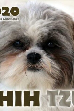 Cover of Shih Tzu 2020 Mini Wall Calendar