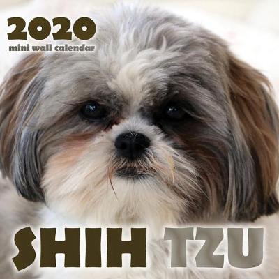 Book cover for Shih Tzu 2020 Mini Wall Calendar