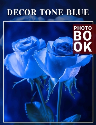 Book cover for Decor Tone Blue Photo Book