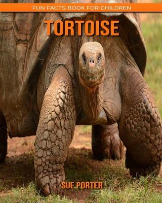 Book cover for Tortoise