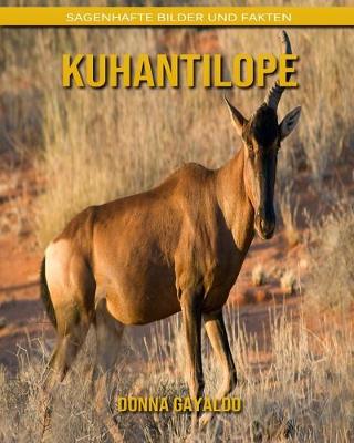 Book cover for Kuhantilope