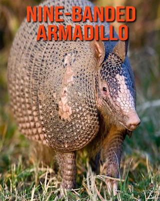 Book cover for Nine-Banded Armadillo