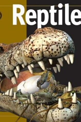 Cover of Reptiles