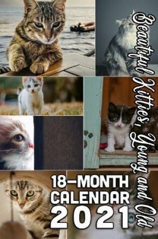 Cover of Beautiful Kitties, Young and Old! 18-Month Calendar 2021