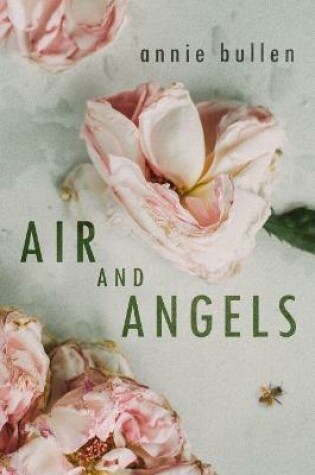 Cover of Air and Angels