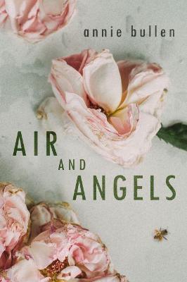 Book cover for Air and Angels