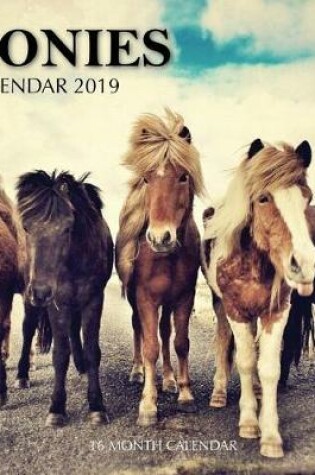 Cover of Ponies Calendar 2019