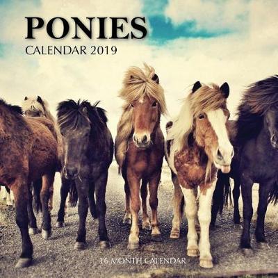 Book cover for Ponies Calendar 2019